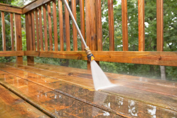 Best Local Pressure Washing Services  in Cumberland Head, NY